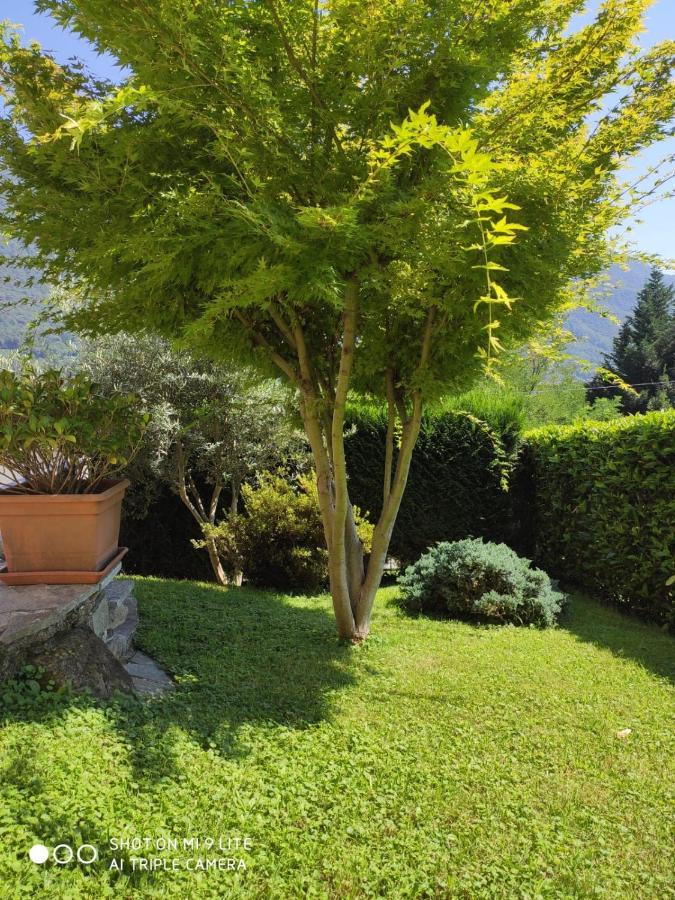 Casa Vacanza Il Glicine Casale Corte Cerro Εξωτερικό φωτογραφία