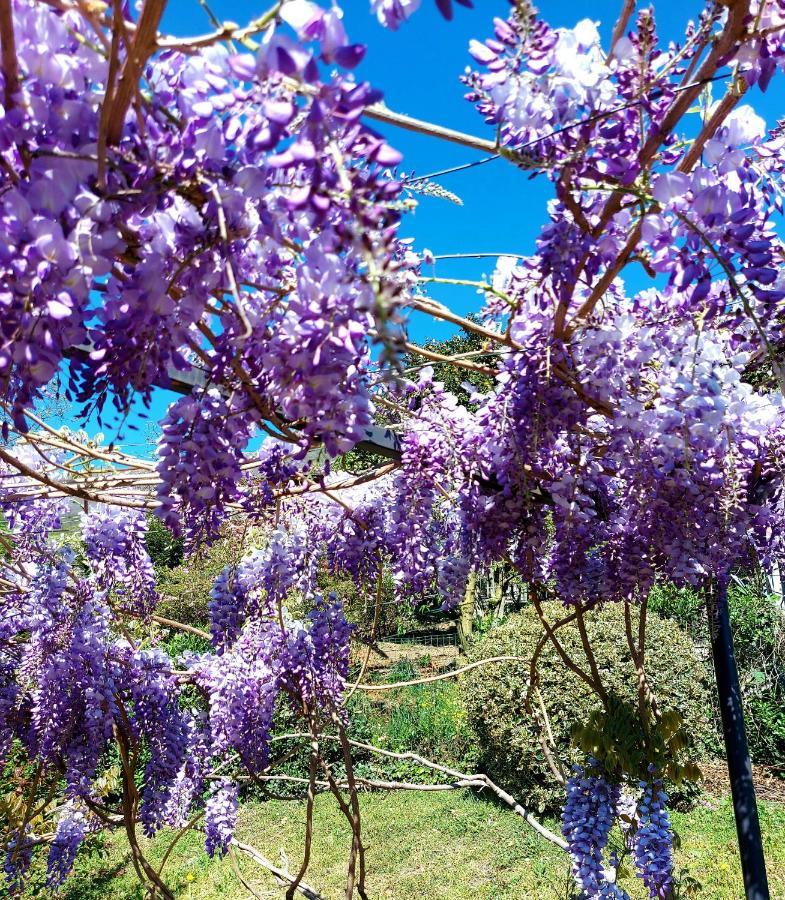 Casa Vacanza Il Glicine Casale Corte Cerro Εξωτερικό φωτογραφία