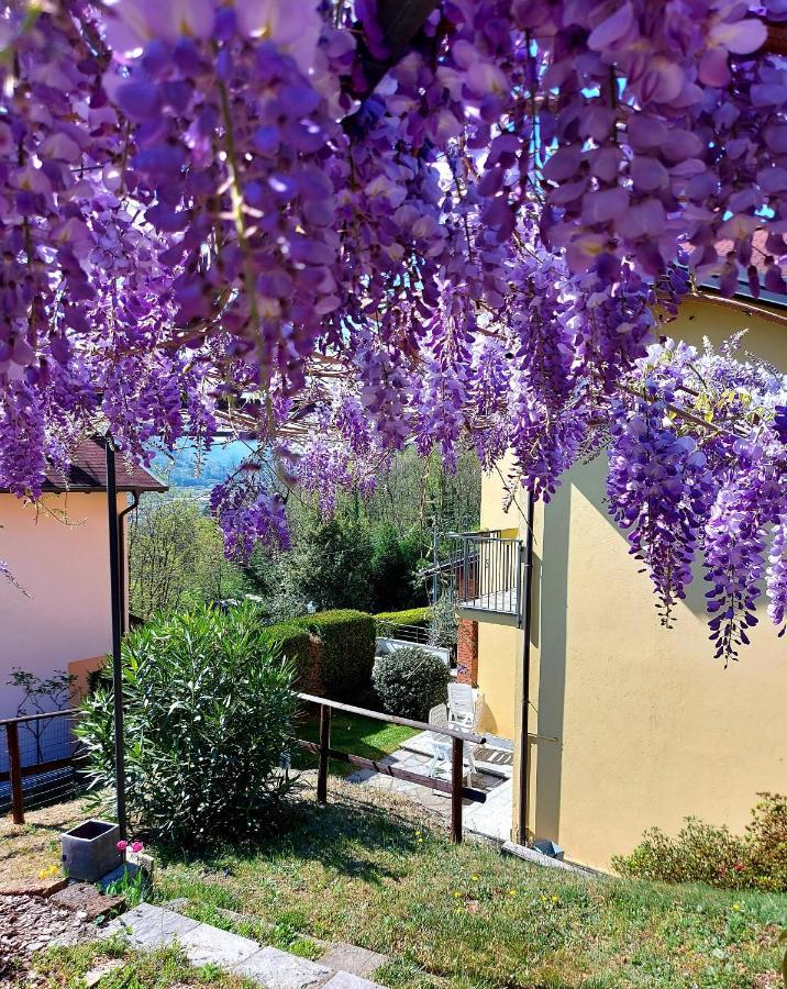 Casa Vacanza Il Glicine Casale Corte Cerro Εξωτερικό φωτογραφία